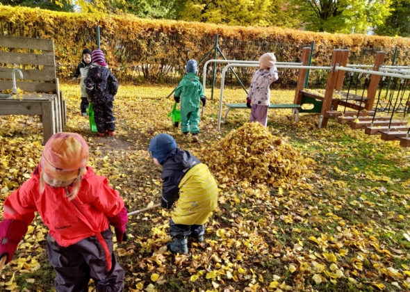 471bf7642972c58d901cd5a24b0a9d6c