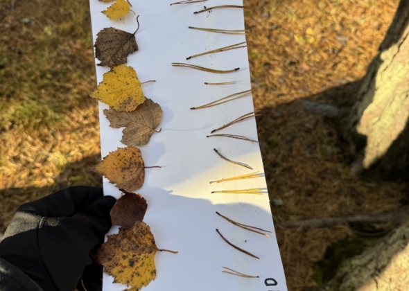 da89cf1bbf3bef23c0488db5fcf285d0