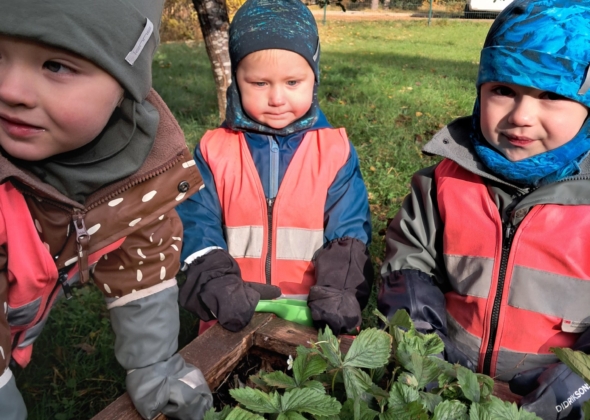 1b8a582721b24724960caf2969a611a9