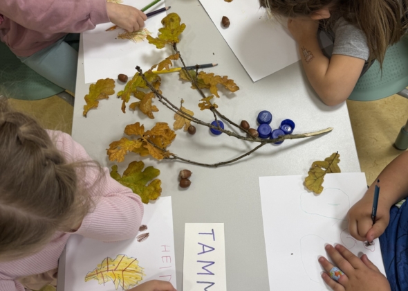 5ffb9f848522a978cdc8b801b6b26558