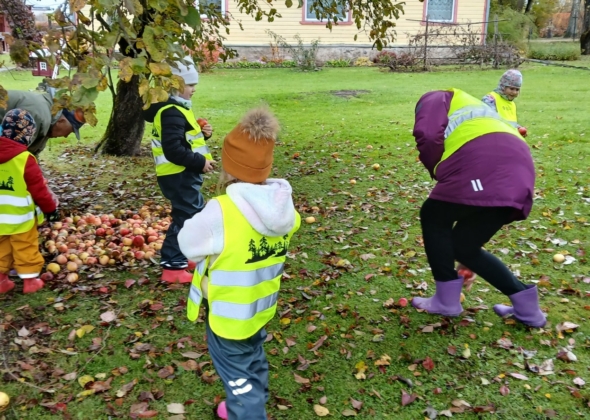 9f85a5aacd27ed3c45ebbe034bd07f81