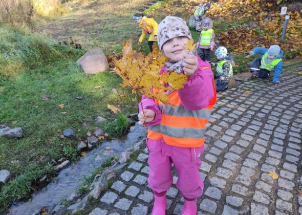 24d41432da53f85c5e37ae0b87ea2fd4