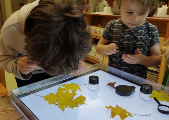 89c8c4ddda9fc6e22b51b59ea8d2600b