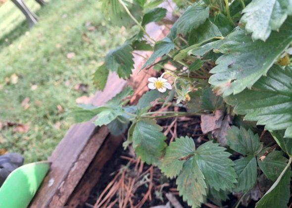 91d9d47c8e36683b7478748dab7779d0