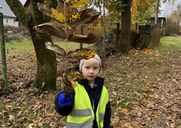 79131fe9fbe588ff75412d995d6f2a20