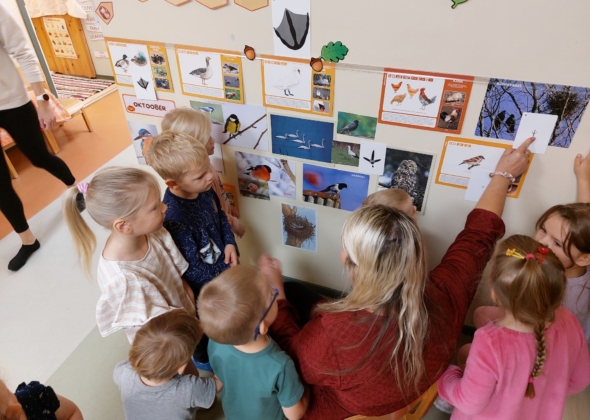 d46aec53efc1992172de8e89c94413de