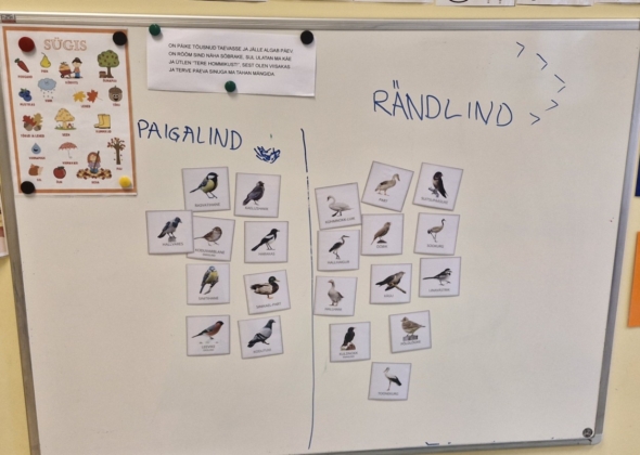 e58b894b609bb02ad8a3a9ee3739d82c