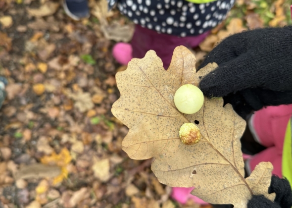 f02984917a02aad89012a3373be9dd88