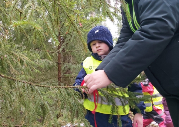 44080b16aa82b5e5dc0d51e9dc09ebfa