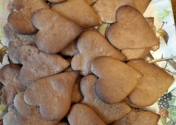 9e9a5320242a009cedec75bbb4ed33b6