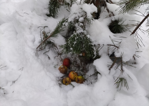 5da0715f189948e09d15d658f297e53a