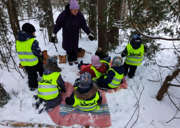 c73b29e63399b81c73d4551b6bce7210