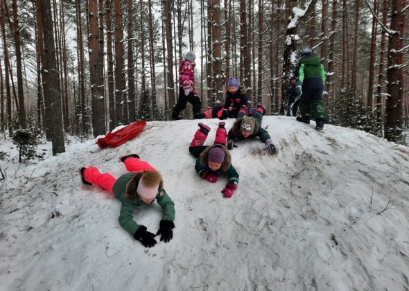 c5566d93650ca91544e766ed2ca93af7