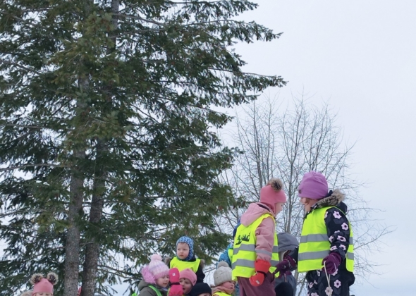 f04d1635e6215ce5edea65654e7952a6