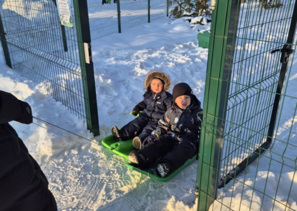 8951316d-c92e-4399-b26f-c1b59af6f567