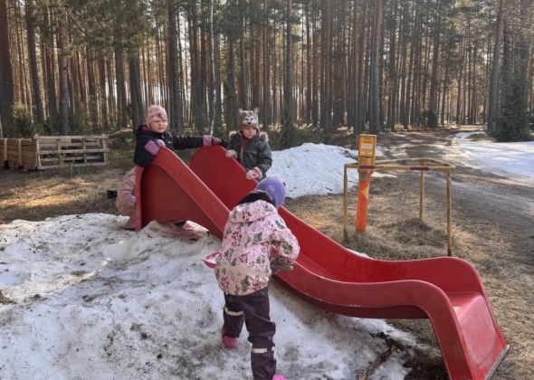 7d223ec33ae0d9bf1d51cd3d5e608561