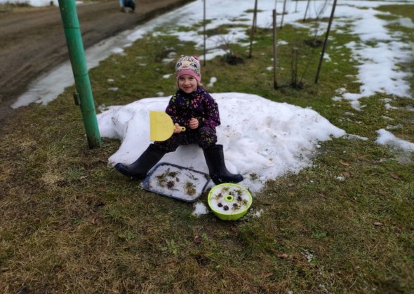 454ac5060c4883dede97a80571234a44