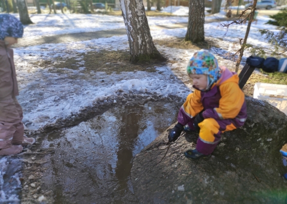 24804c0e49b0c62dced37f6e4f5050b0