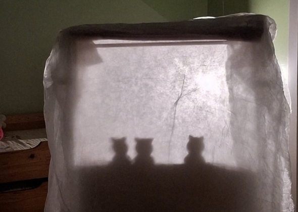 77d5fcd4f9f827161f670efee67a9f86