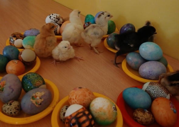 5f28f405cb32b076551ec8a5af81082a