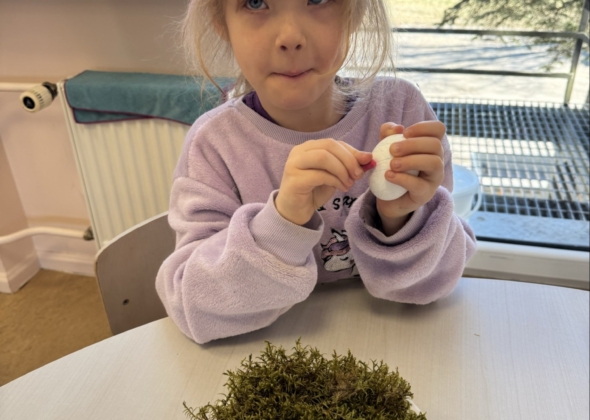 a15ae5a5763c5dd51506725185fbf537