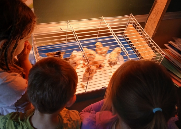 c1d23aafd4a1c03847b1510803d1d22f