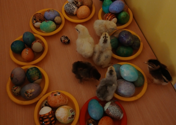 ed5a7217db57f06e41a8d52424b2d843