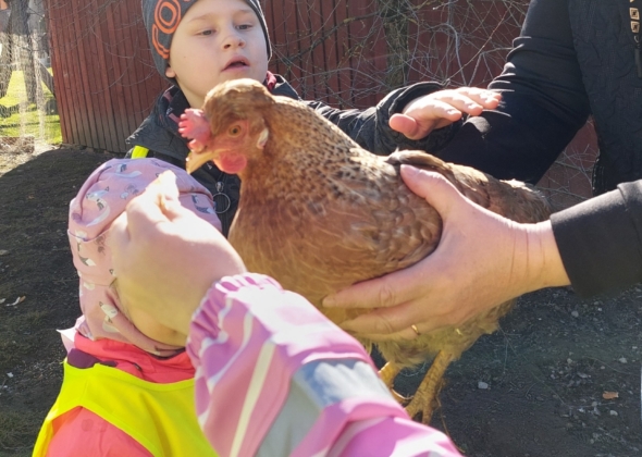 2e3ecf192cf70990ce97c751755640c5