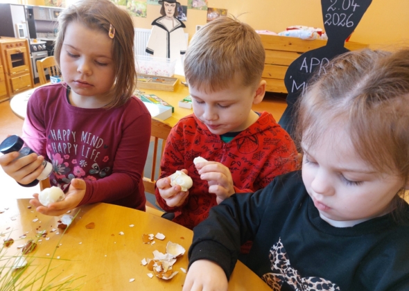 91fddea44bc21f3beadf6febf06bd16a