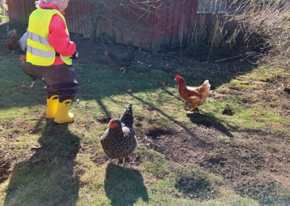 c5e9878961c283c17a7762ecbc08361e