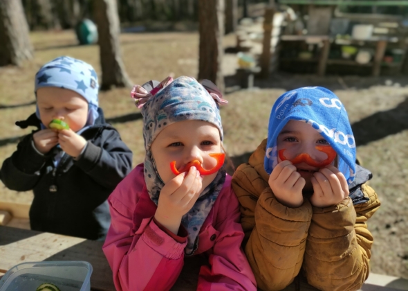 629fdbe50a9f5a9eb5583a8255399f29