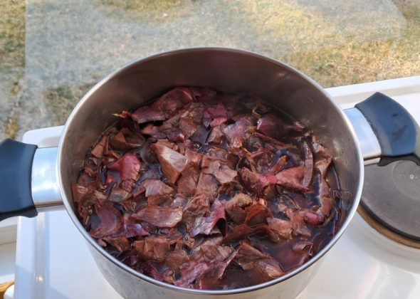 1379282aac8a2ff35c5e6c41ee65b587